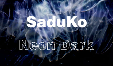 Neon Dark