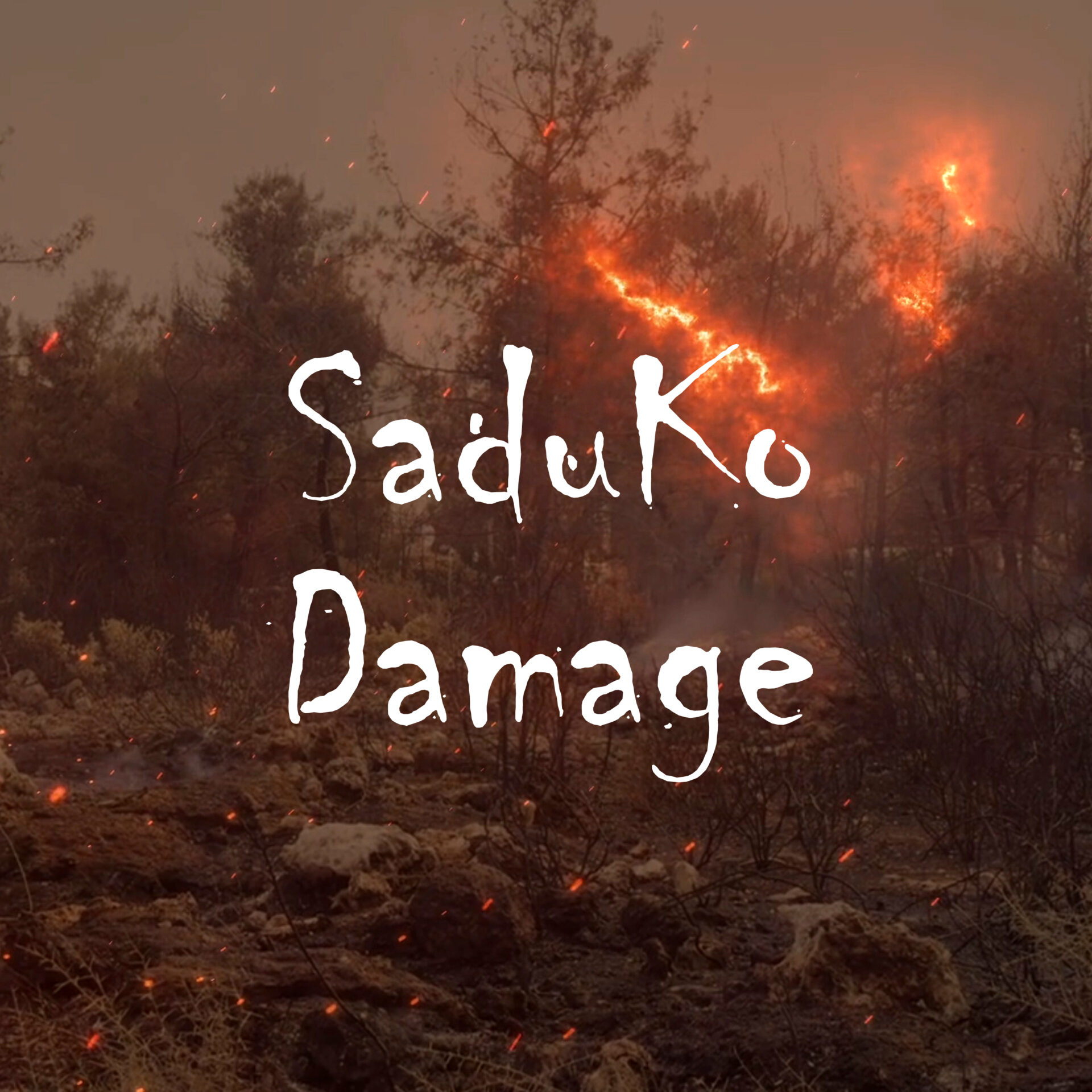 SaduKo_Damage_Cover