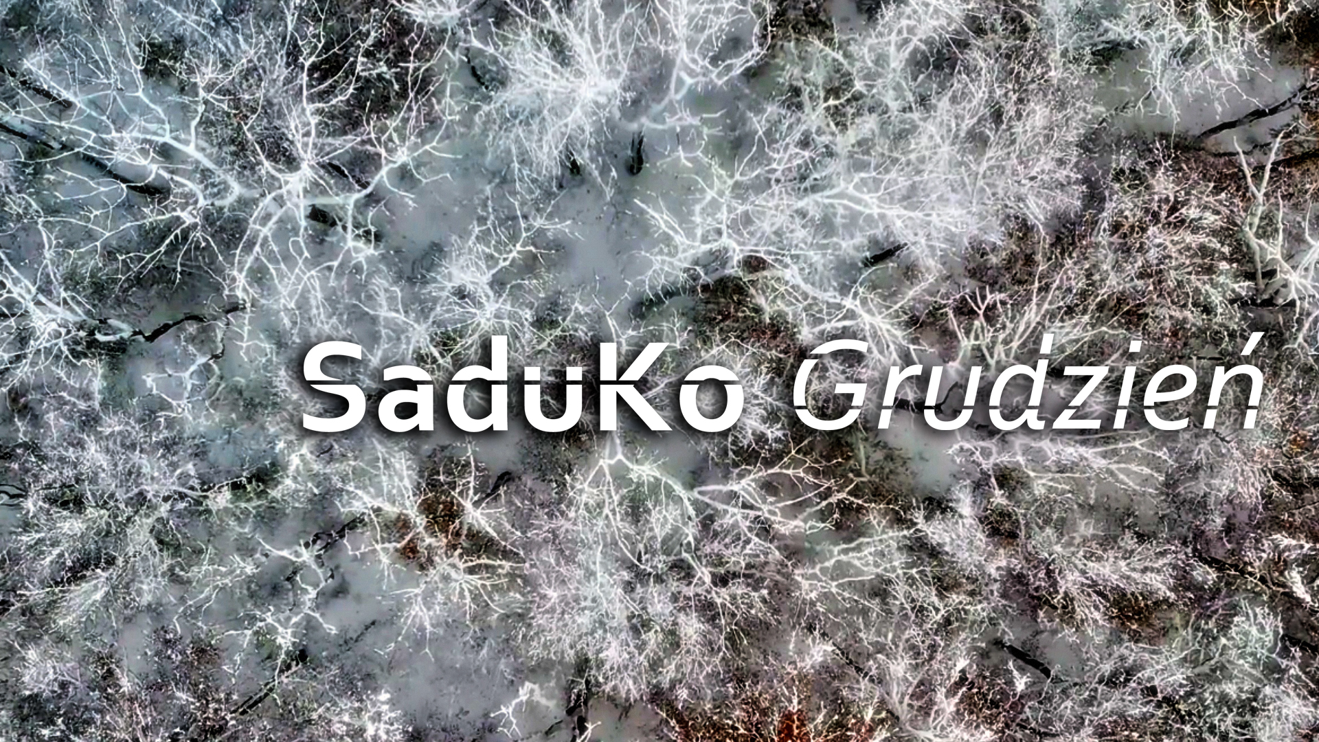 SaduKo_Grudzien_thumbnail